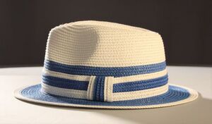 Straw Summer Hats